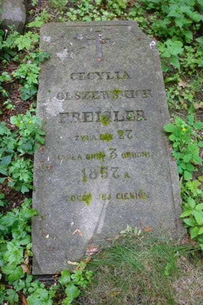 Zdjęcie grobu Cecylia Freisler (2)