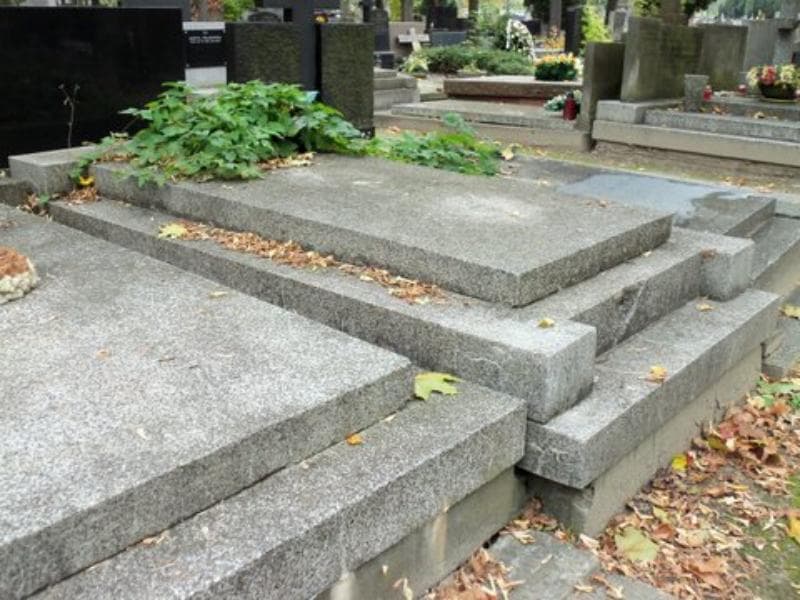 Zdjęcie grobu Ludwik Zawadziński (2)