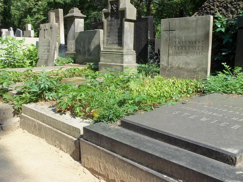 Zdjęcie grobu Kazimierz Kłakowicz (1)