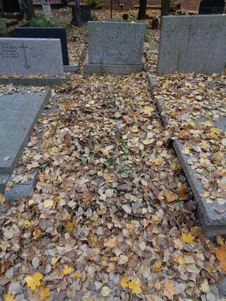 Zdjęcie grobu: Pole Grobowe