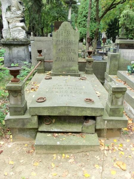 Zdjęcie grobu: Bolesław Fronczek