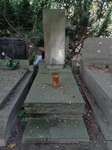 Zdjęcie grobu Eugeniusz Dąbrowa Morawski (1)