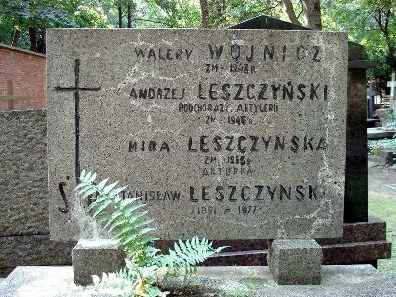 Zdjęcie grobu Andrzej Leszczyński (2)