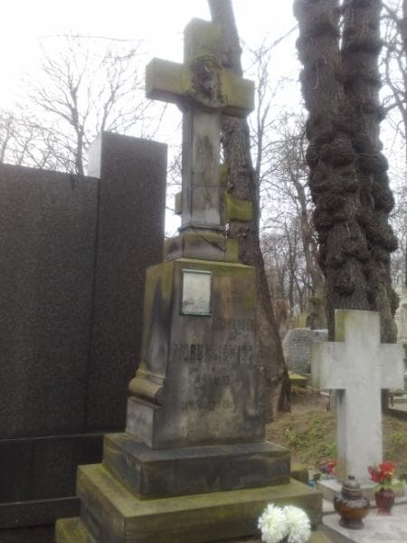 Zdjęcie grobu Aleksander Piorunkiewicz (1)