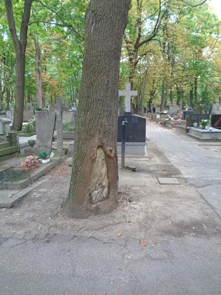 Zdjęcie grobu Ujęcie Wody (1)