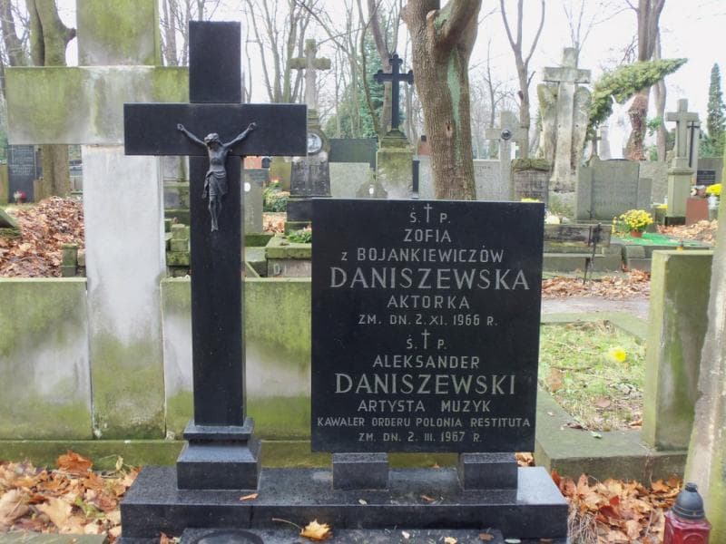 Zdjęcie grobu Aleksander Daniszewski (2)
