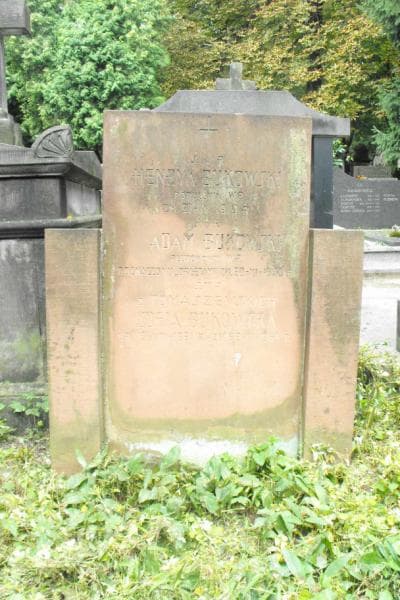 Zdjęcie grobu Henryk Bukowski (1)