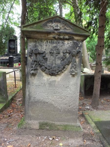 Zdjęcie grobu Adolf Tomicki (2)