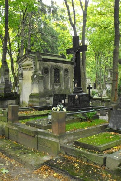 Zdjęcie grobu Celina Knap (1)