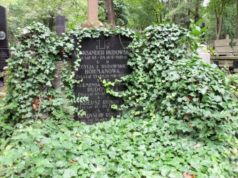Zdjęcie grobu Cecylia Bormanowa (2)
