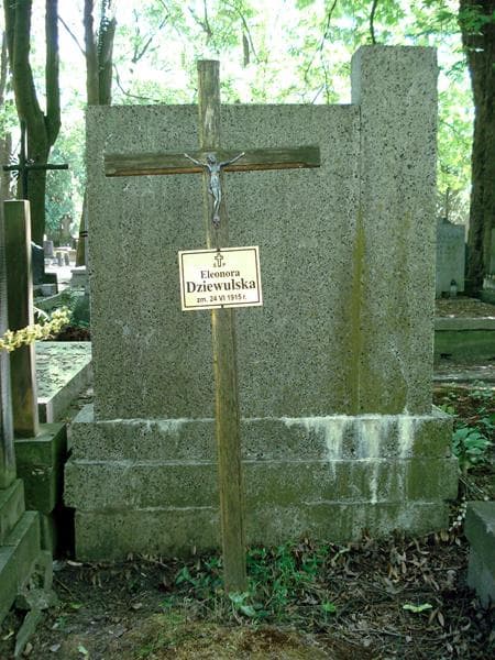 Zdjęcie grobu Eleonora Dziewulska (1)
