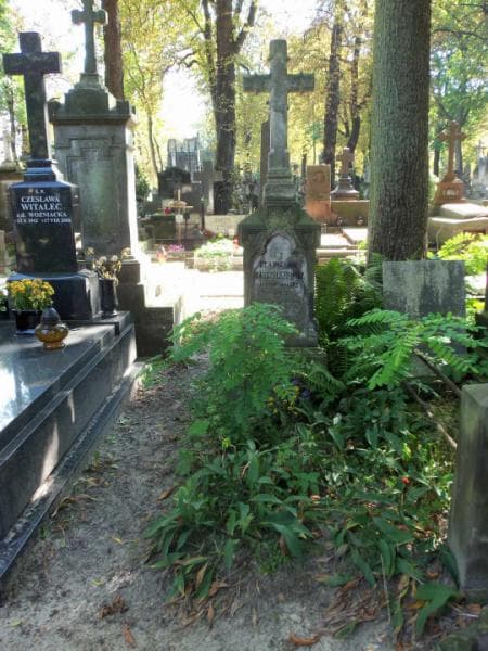 Zdjęcie grobu: Stanisław Marszałkiewicz