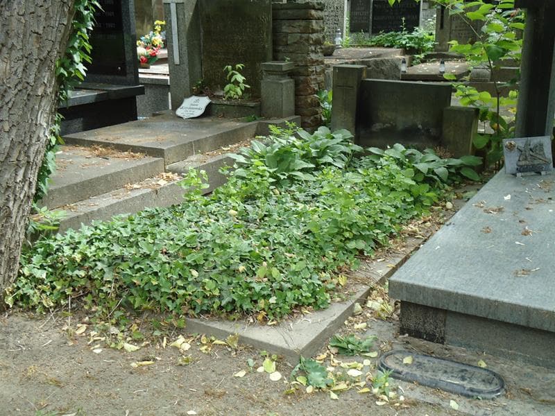 Zdjęcie grobu Kazimierz Arendt (1)