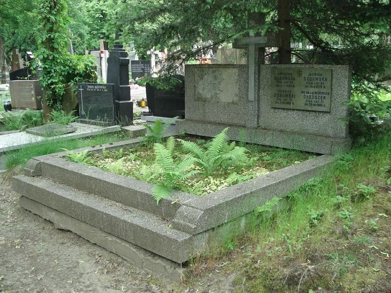 Zdjęcie grobu Antonina Dębowska (1)