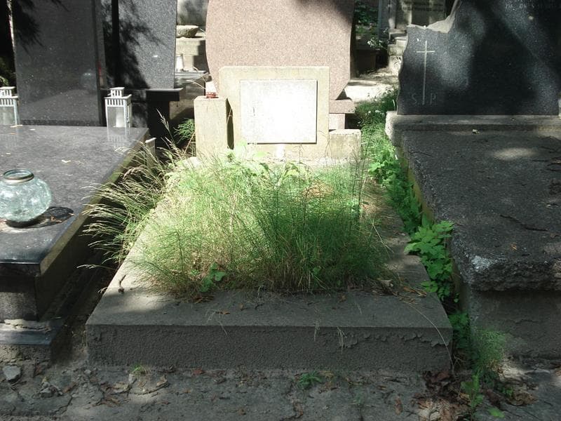 Zdjęcie grobu: Augusta Borsukowska