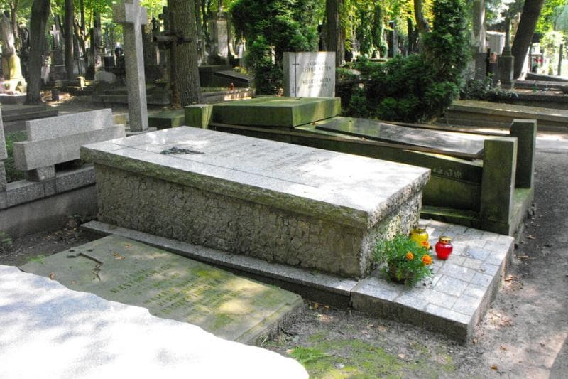 Zdjęcie grobu Barbara Alina Czemier-Wołonciej (1)