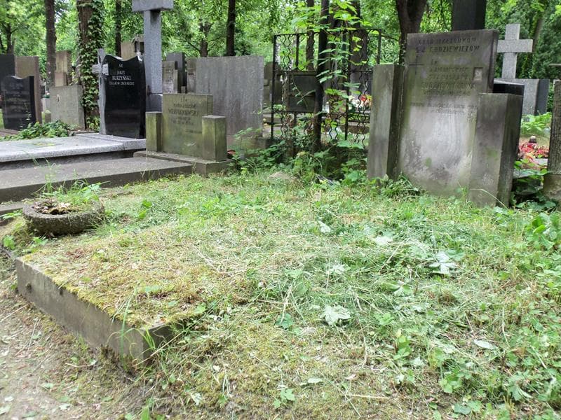 Zdjęcie grobu Stanisława Cudziewiczowa (1)