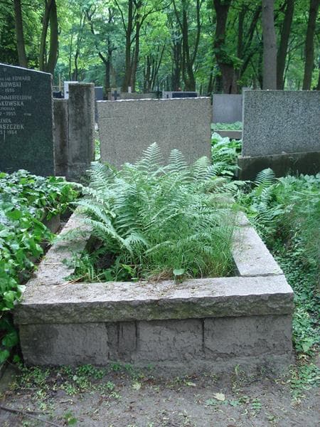 Zdjęcie grobu: Kazimiera Sidorowicz