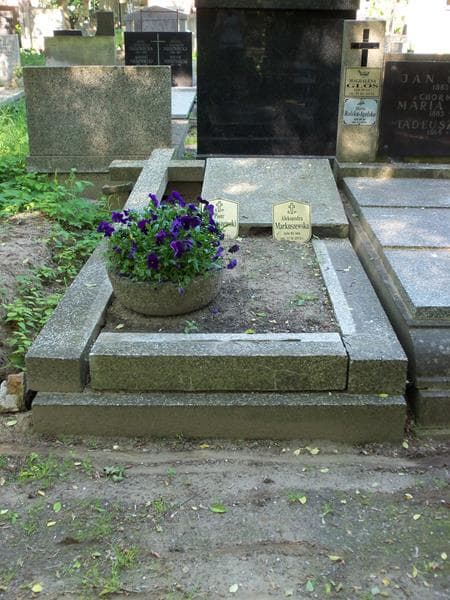 Zdjęcie grobu: Dominik Markuszewski