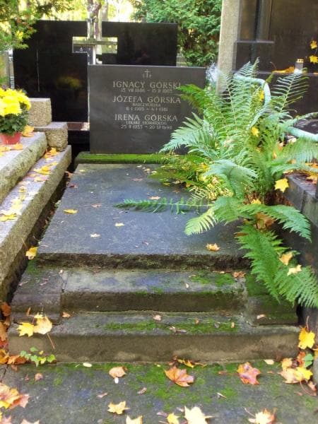Zdjęcie grobu: Irena Górska
