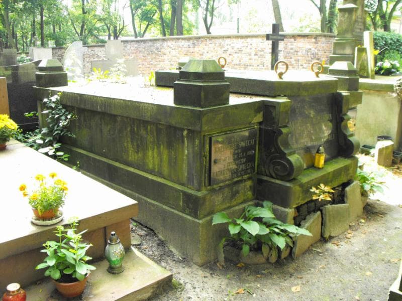 Zdjęcie grobu Antoni Czyżewicz (1)