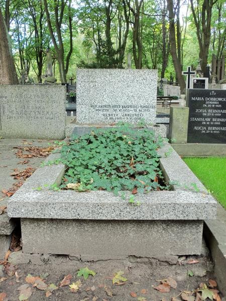 Zdjęcie grobu: Zofia Jarzyńska
