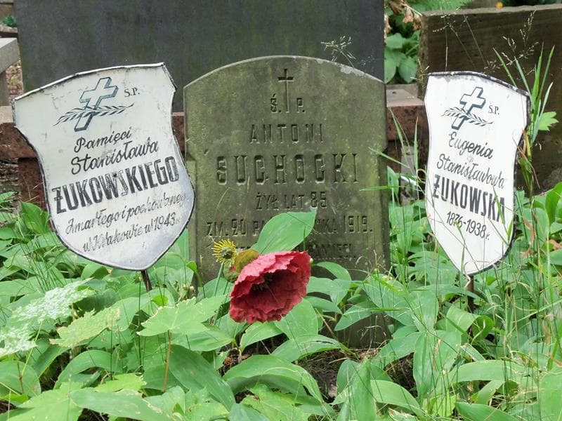 Zdjęcie grobu Eugenia Żukowska (2)