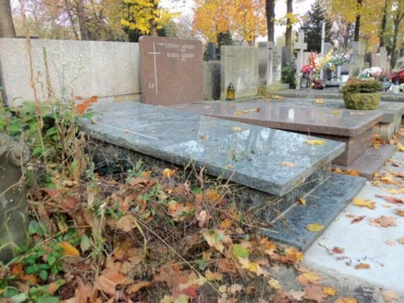 Zdjęcie grobu Adam Dudeło (2)