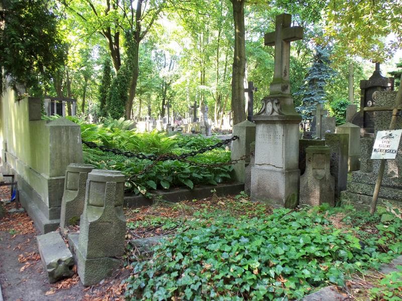 Zdjęcie grobu Franciszek Kurkiewicz (1)