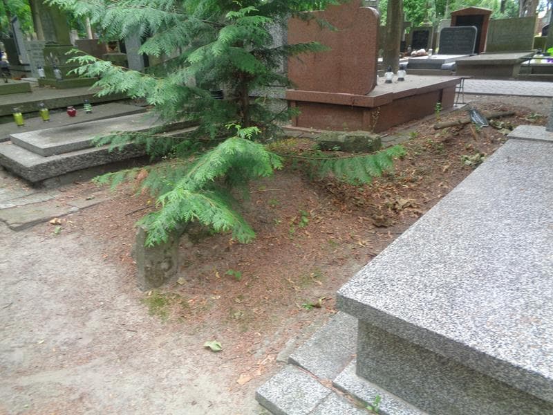 Zdjęcie grobu: Pole Grobowe