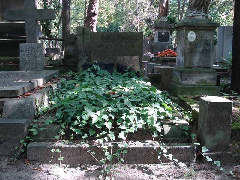 Zdjęcie grobu: Ryszard Bitschan
