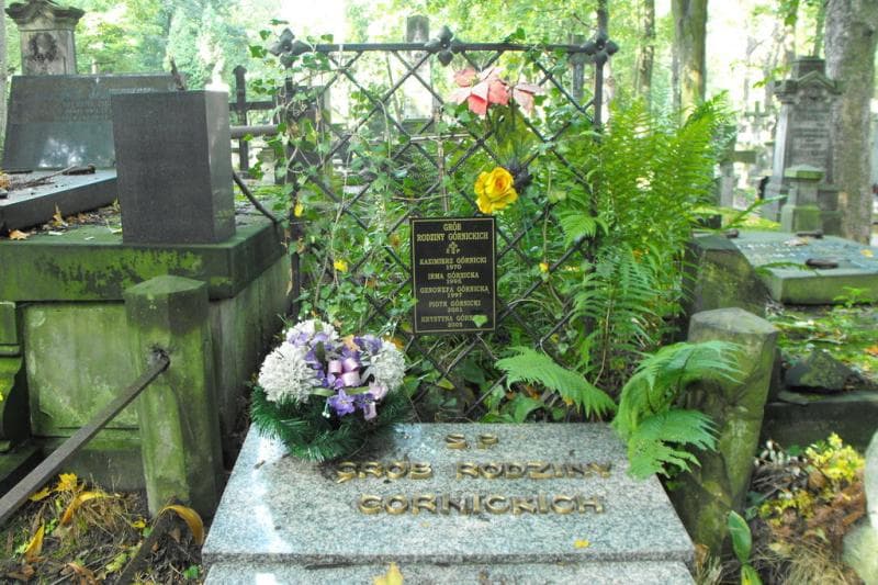 Zdjęcie grobu Kazimierz Górnicki (2)