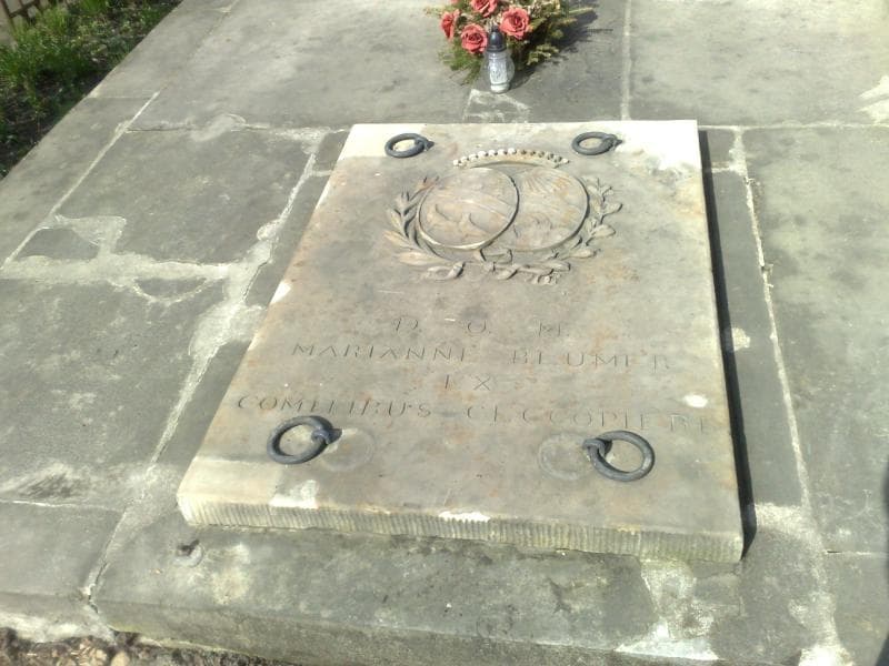 Zdjęcie grobu Ignacy Blumer (2)
