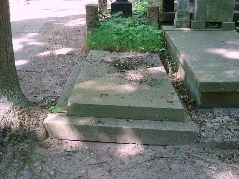 Zdjęcie grobu Beata Jacobson (1)