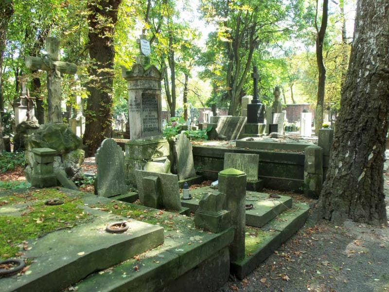Zdjęcie grobu Aleksandra Tuszyńska (1)