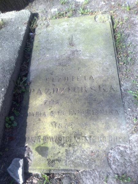 Zdjęcie grobu Elżbieta Paździerska (1)