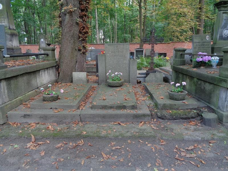 Zdjęcie grobu Stanisław Królikowski (1)