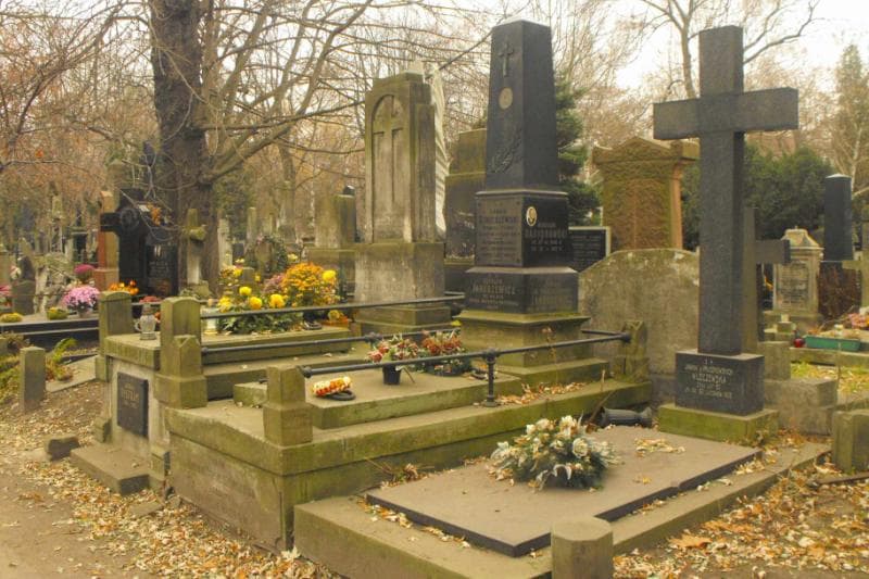 Zdjęcie grobu Czesław Januszewicz (1)