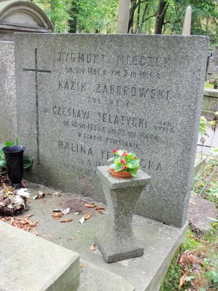 Zdjęcie grobu Czesław Telatycki (2)