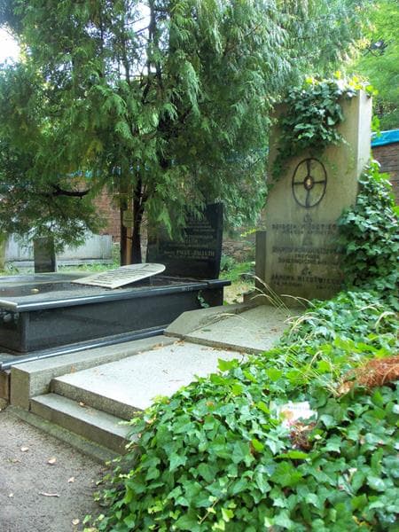 Zdjęcie grobu Dzidzia Niedzwiecka (1)