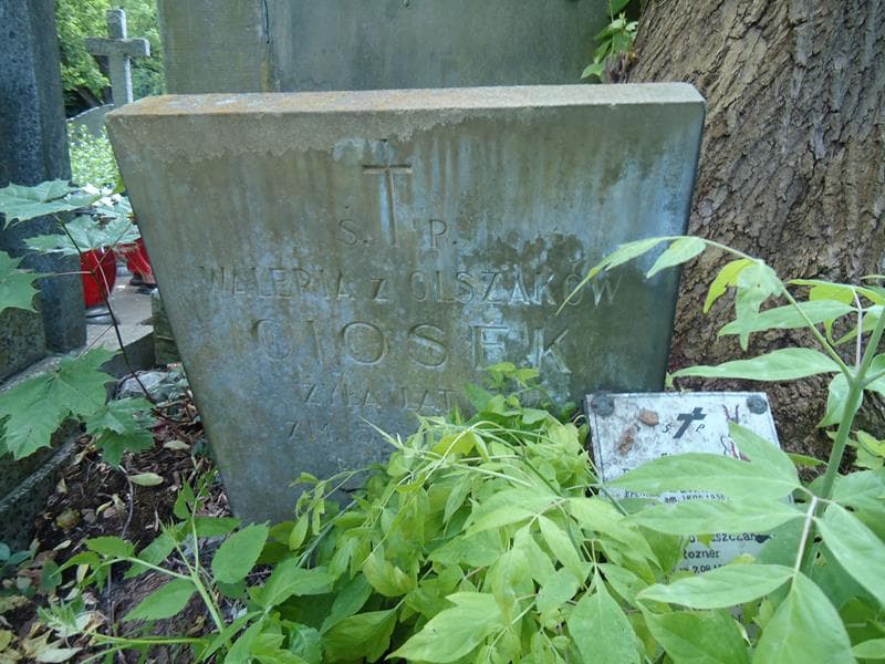 Zdjęcie grobu Waleria Ciosek (2)