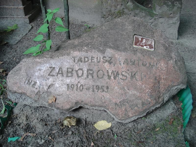 Zdjęcie grobu Tadeusz Antoni Zaborowski (2)