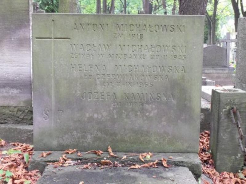 Zdjęcie grobu Wacław Michałowski (2)
