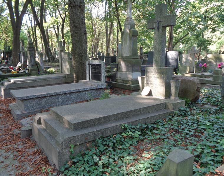 Zdjęcie grobu: Apolonia Józefowicz