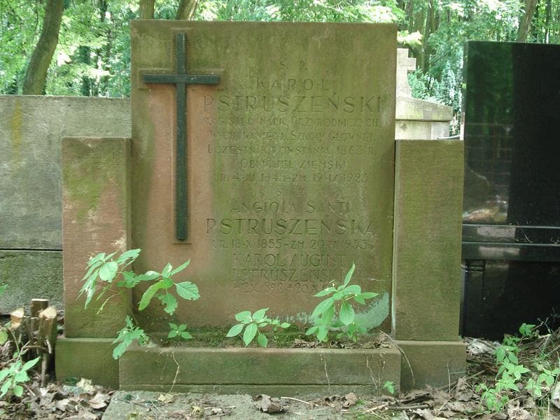 Zdjęcie grobu Bronisława Strużyńska (2)