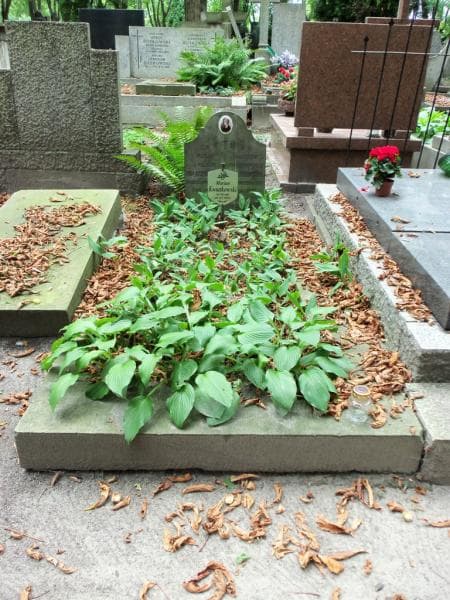 Zdjęcie grobu: Marian Kwiatkowski