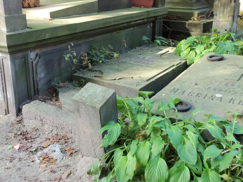 Zdjęcie grobu Wincenty Czesnas (1)