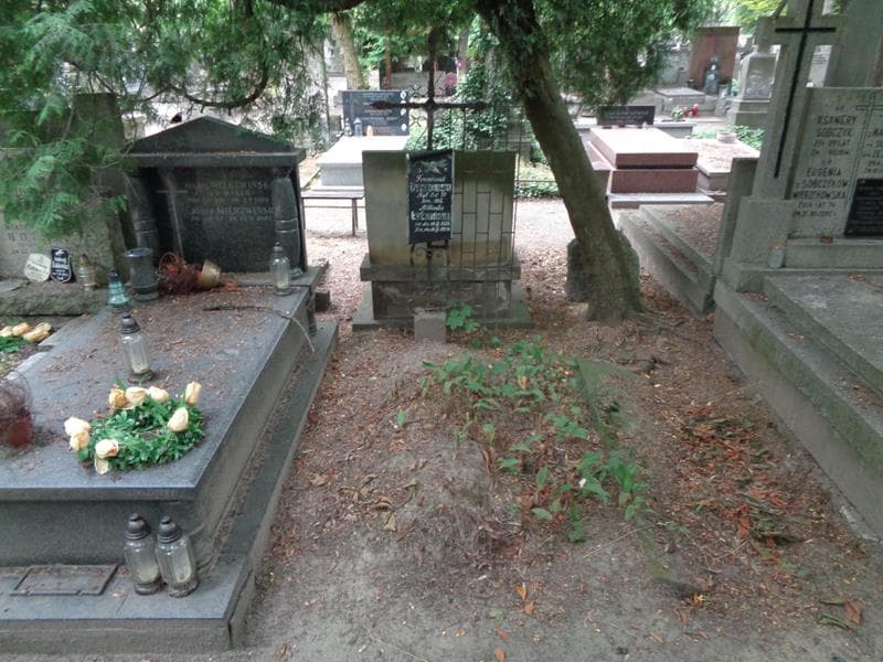 Zdjęcie grobu Franciszek Dyszkowski (1)