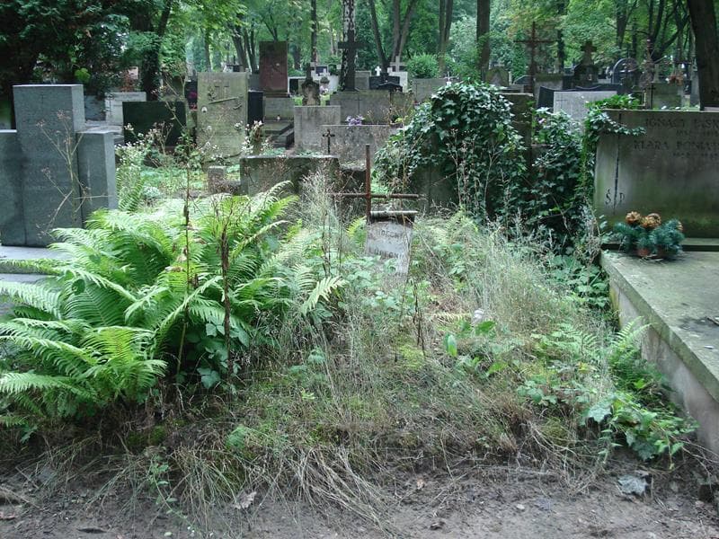 Zdjęcie grobu: Maria Ludeckie