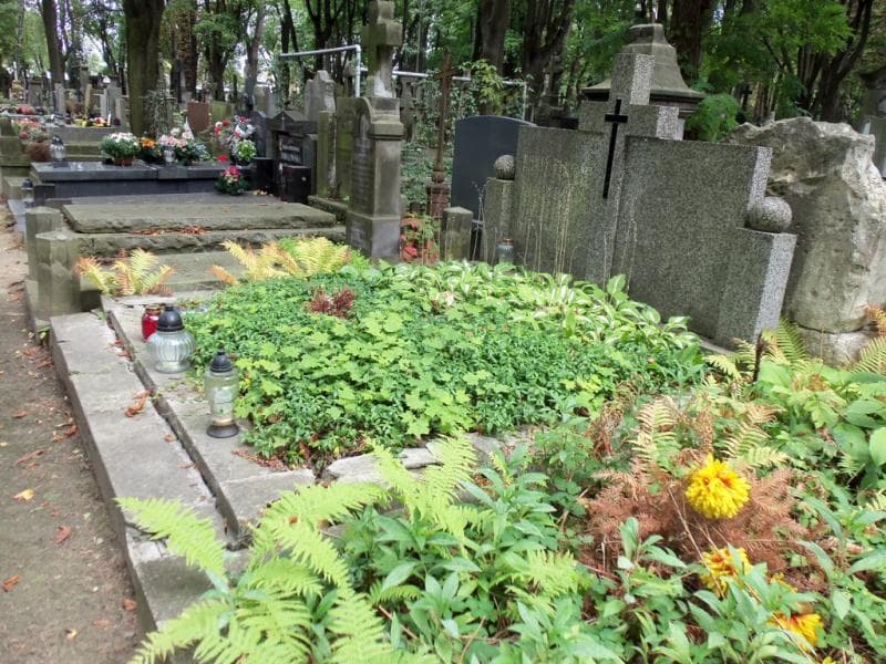 Zdjęcie grobu Zdzisław Ogrodnik (1)